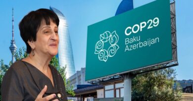 COP29-un uğurları