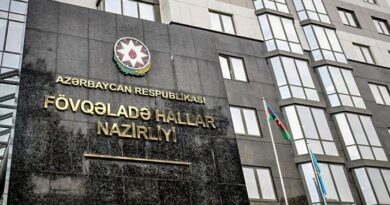 FHN cənub sərhədlərində radiasiya ilə bağlı məlumat yaydı
