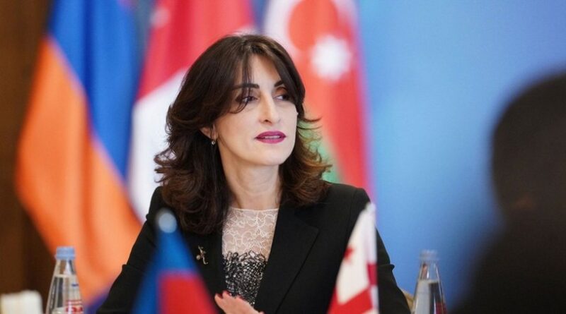 Gürcüstanın XİN başçısı: ABŞ hələ ölkəmizlə bağlı mövqeyini formalaşdırmayıb