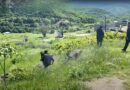 Sərhədimizdə “həyəcan”: sığınacaqlara girmək… – İrəvan xəbərdarlıq etdi