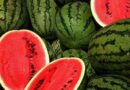 Qarpızlara bu dərmanlar vurulur, xərçəngə yoluxma riski var – XƏBƏRDARLIQ