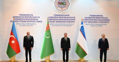 Ədalətin bərpasından Türk qardaşlığına uzanan yol