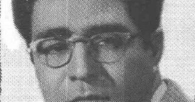 Əli Təbrizlinin Türkçülük və ictimai-siyasi görüşləri