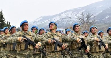 Daxili Qoşunlarla bağlı yeni qanun layihəsi HAZIRLANIB
